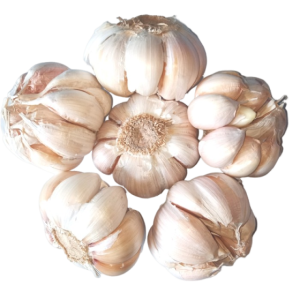 Bawang Putih