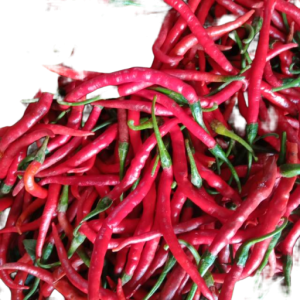 Cabe Merah Keriting