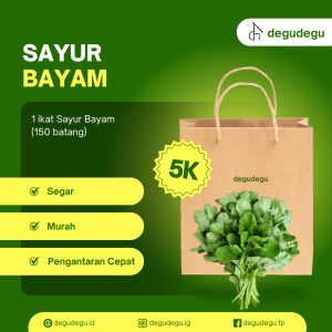 SAYUR BAYAM