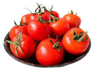 tomat apel